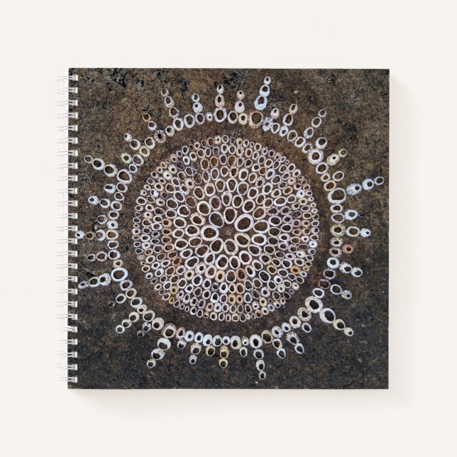 Esbozo diario Arte natural de cuaderno Planner Jou (Anverso)