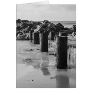 Escala de grises de Dreamy Seawall