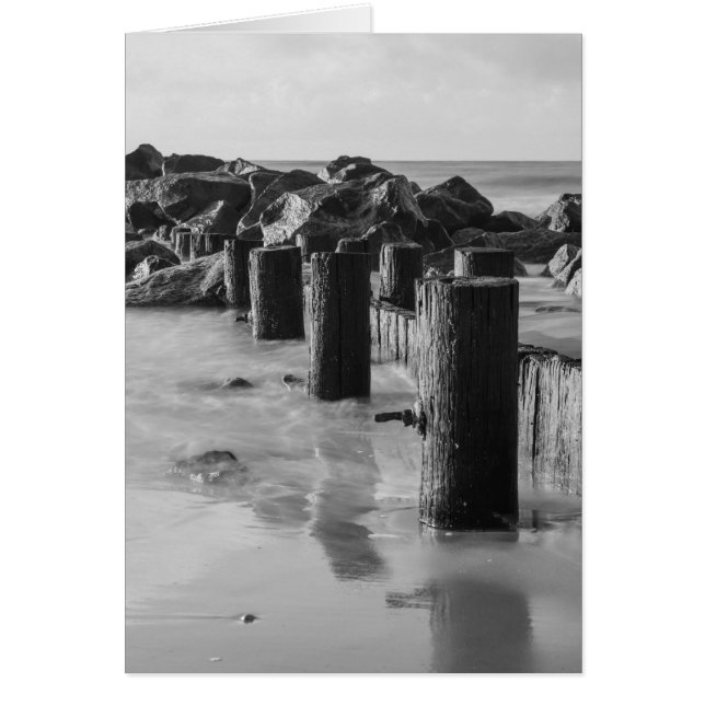 Escala de grises de Dreamy Seawall (Frente)