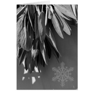 Escala de grises de salvia recién cortada