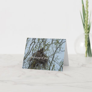 Escalando Con Mamá Pensando En Tu Tarjeta