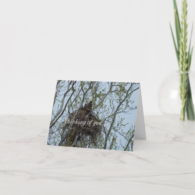 Escalando Con Mamá Pensando En Tu Tarjeta (Anverso)