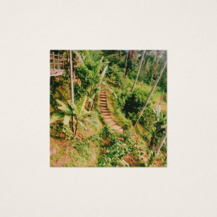 Escalera de bosques lluviosos de Bali