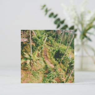 Escalera de bosques lluviosos de Bali