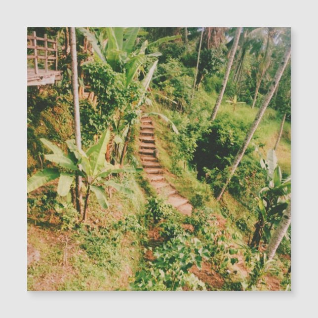 Escalera de bosques lluviosos de Bali (Anverso)
