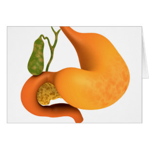 Escalera De Gall Con Estómago