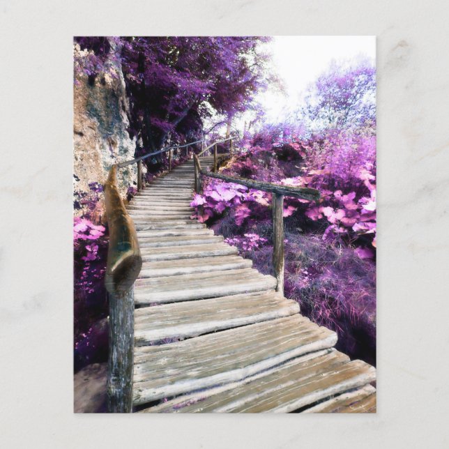 escalera de glicinia de tarjeta conmemorativa (Anverso)