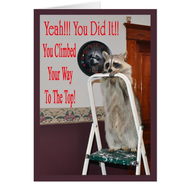 escalera de reemplazo 2 (Frente)