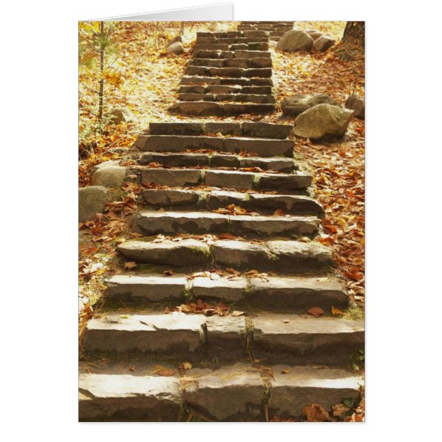 Escalera del país (Frente)