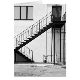 Escalera en blanco y negro