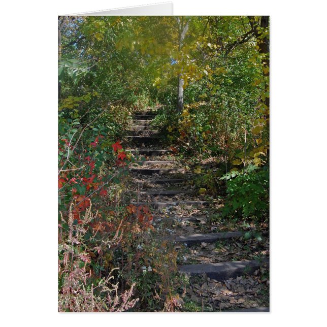 Escalera ocultada (Frente)