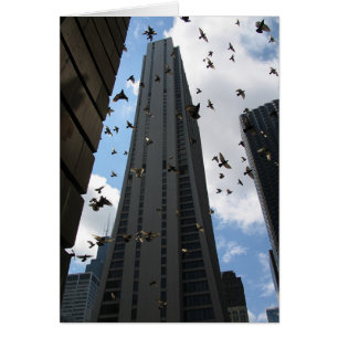 Escape de la Plaza del Banco Uno