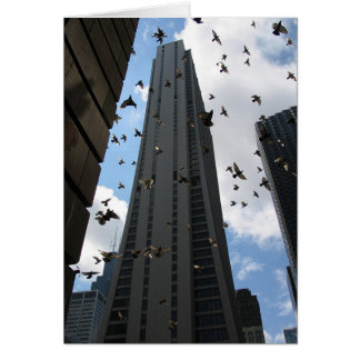 Escape de la Plaza del Banco Uno