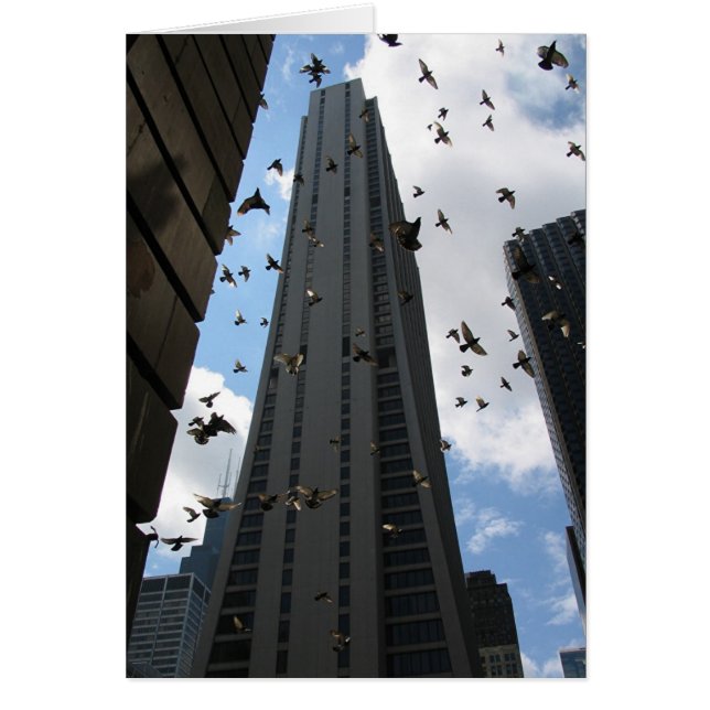 Escape de la Plaza del Banco Uno (Frente)