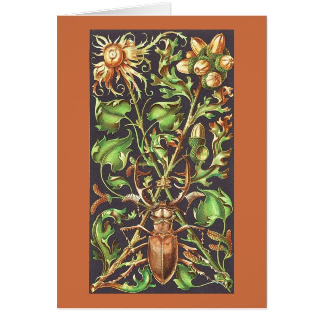 Escarabajo con cuerno en Brown (Frente)