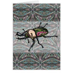 Escarabajo de Rainbow Stag