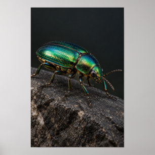 Escarabajo Verde Metálico en Arte de Pared de Roca
