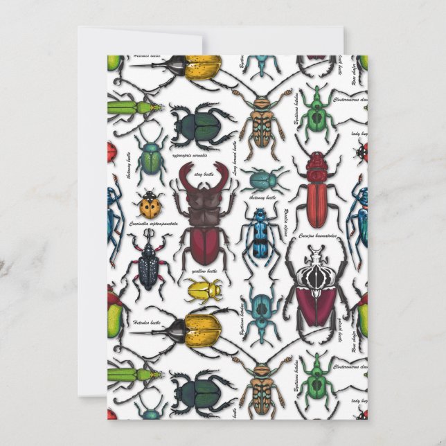 Escarabajos blancos (Anverso)