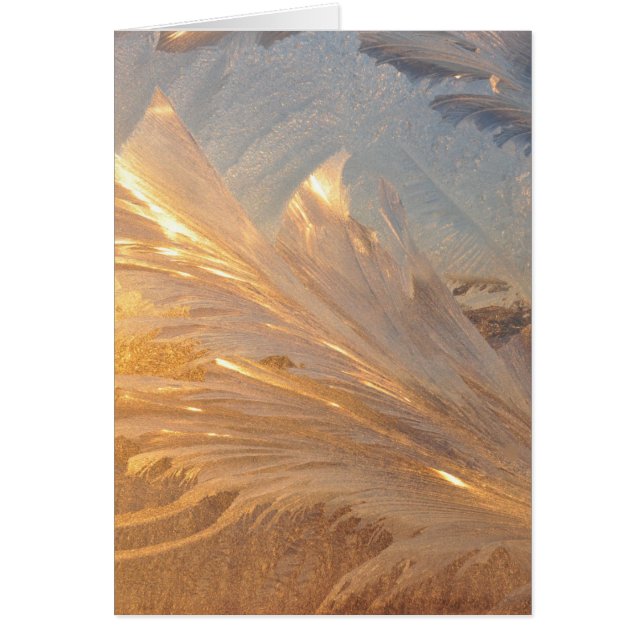 Escarcha de invierno en vidrio (Frente)