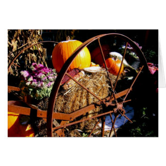 Escarcha sobre la calabaza