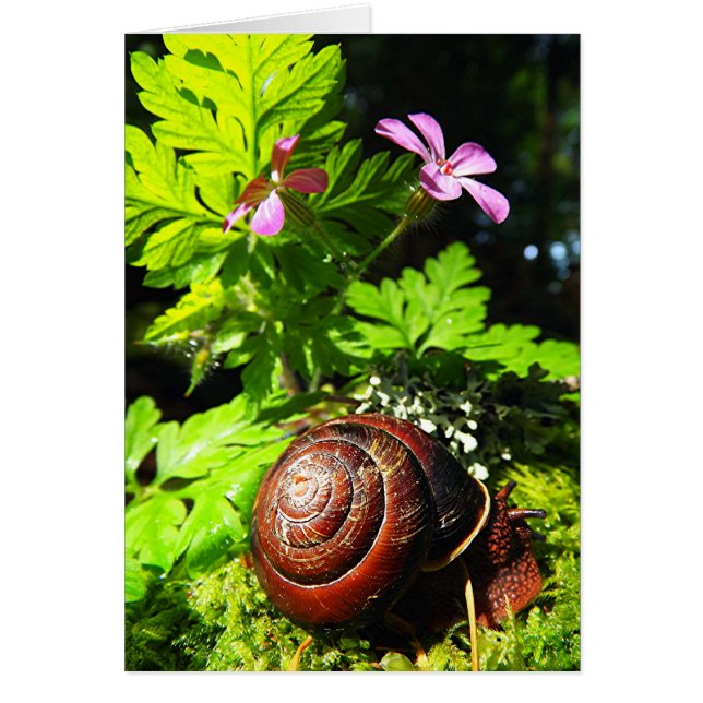 Escarnio (Frente)