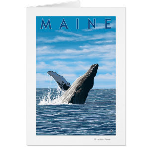Escena de ballenas MaineHumpback