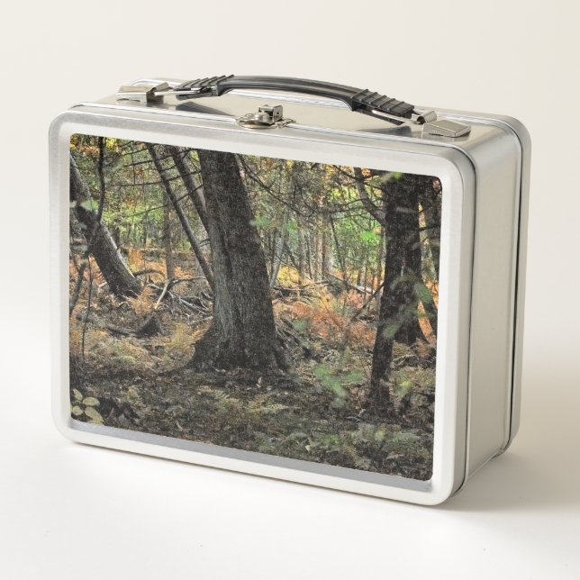 Escena de bosque otoñal  (Anverso)