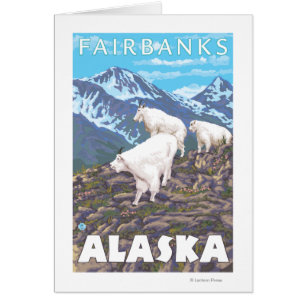 Escena de cabras de montaña - Fairbanks, Alaska