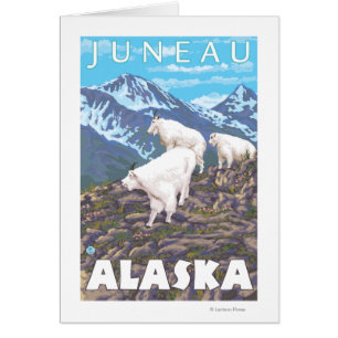Escena de cabras de montaña - Juneau, Alaska