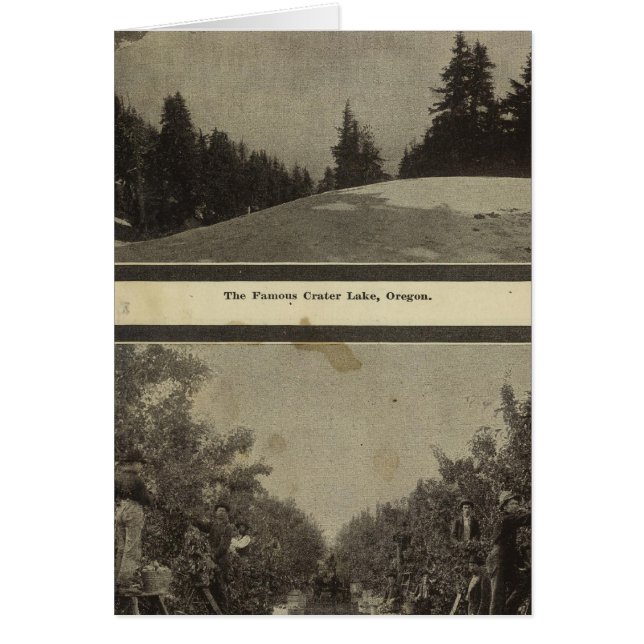 Escena de Crater Lake Oregon Orchard (Frente)