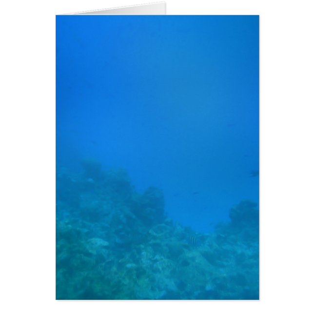 Escena de fondo subacuática (Frente)