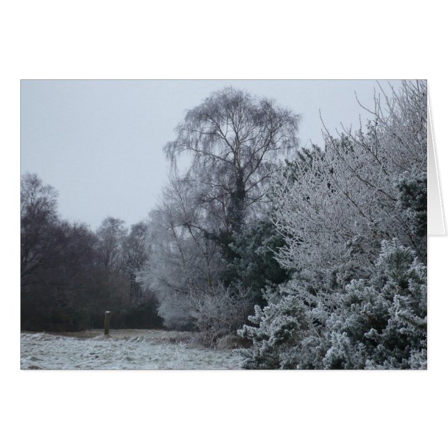 Escena de invierno en el bosque de Ashdown (Anverso (Horizontal))