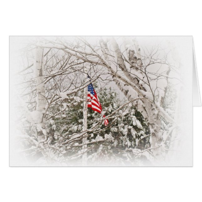 Escena de la bandera de los Estados Unidos (Anverso (Horizontal))