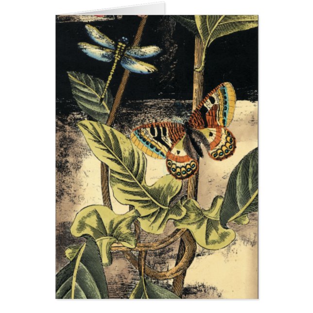 Escena de naturaleza oscura de Vision Studio (Frente)