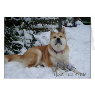 Escena de nieve de perro akita con juguete de rató