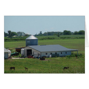 Escena de pastura del país Amish