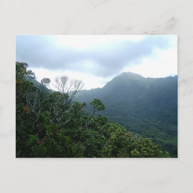 Escena de postales de Hawái1 (Anverso)