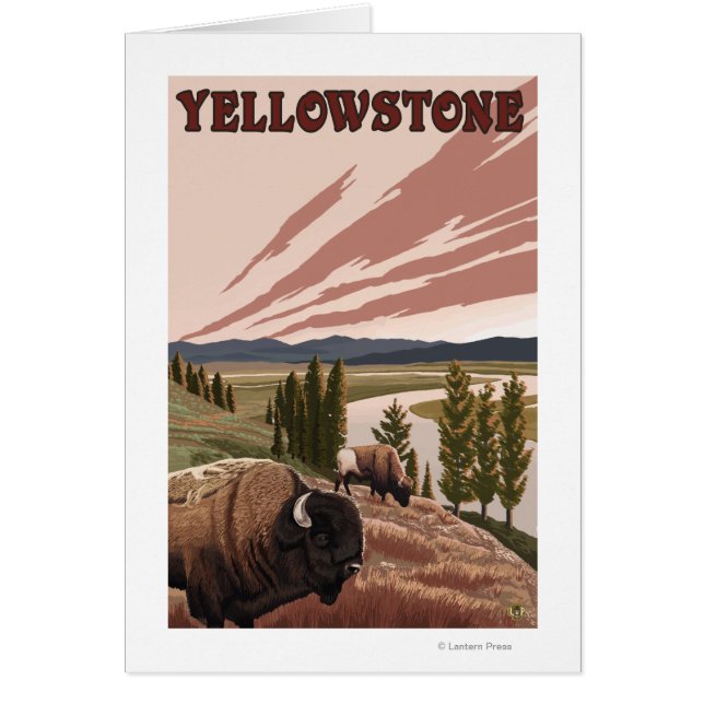 Escena de YellowstoneBison (Frente)