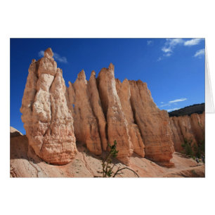Escena del barranco de Bryce