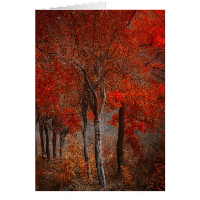 Escena del bosque del vintage (Frente)