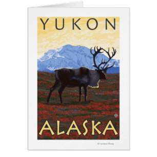 Escena del caribú - el Yukón, Alaska