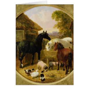Escena del corral
