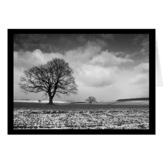 escena del espectáculo norfolk