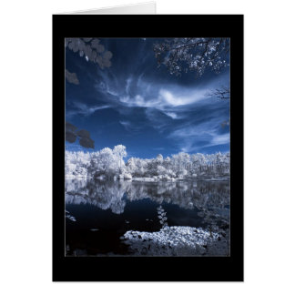 escena del lago de invierno