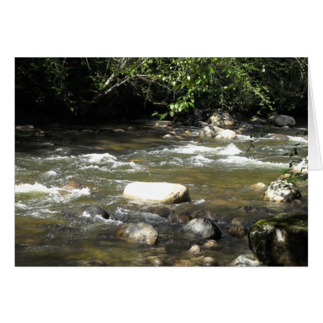 Escena del río (Anverso (Horizontal))