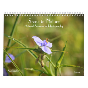 Escena en temporada de naturaleza en calendario fo