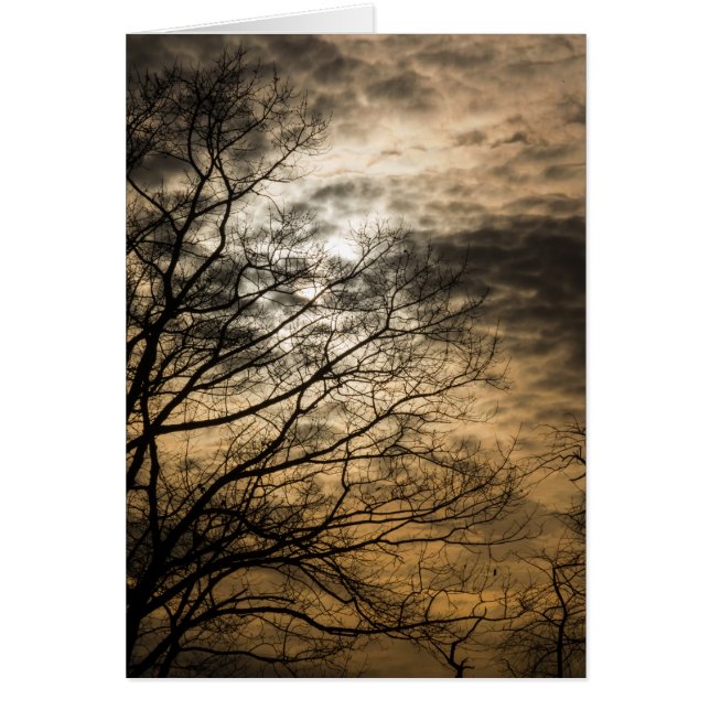 Escena nublada del sol (Frente)