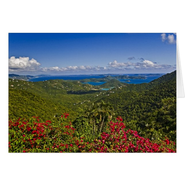 Escenario de Cruse Bay, Virgen de St. John (Anverso (Horizontal))