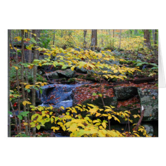 Escenario forestal de otoño