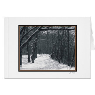 escenas de nieve